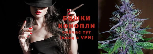 МДПВ Осташков