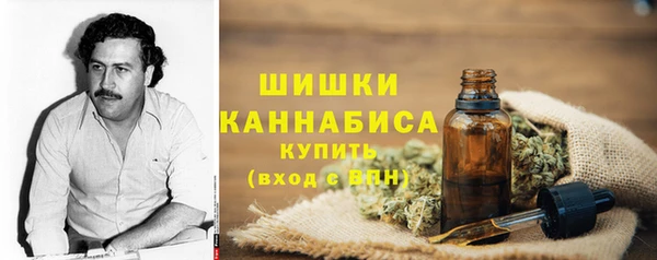 таблы Осинники