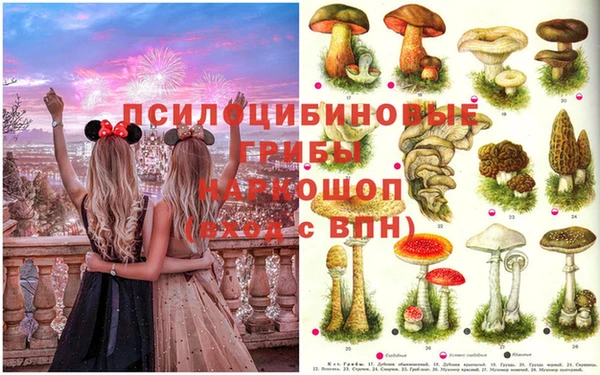 стафф Остров