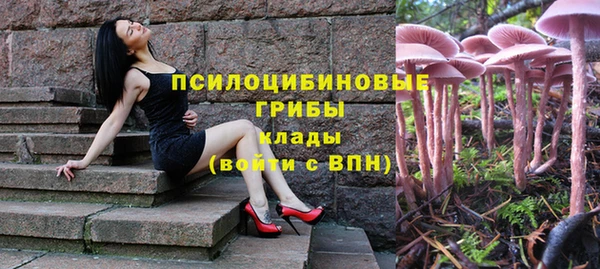 таблы Осинники